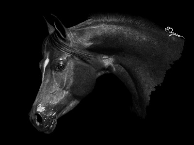 Horse black and white crosshatching digital sketch digitalart horse vectorart
