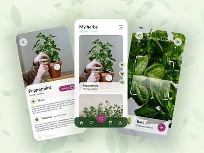 My herbs App app application covid design free time garden gardening green herbs jitteam lockdown mobile plants ui ux