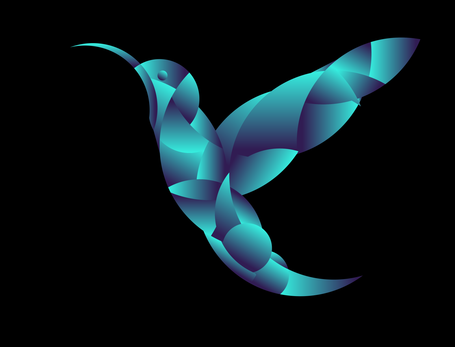 Colibri by ORNOW on Dribbble