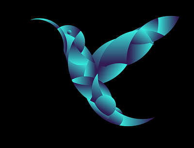 Colibri colibri design graphic graphic design graphic design graphicdesign graphics illustration visual visual design