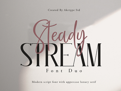 Steady Stream font duo branding card elegant fancy feminine font font awesome handwriting handwritten lettering script serif type typography