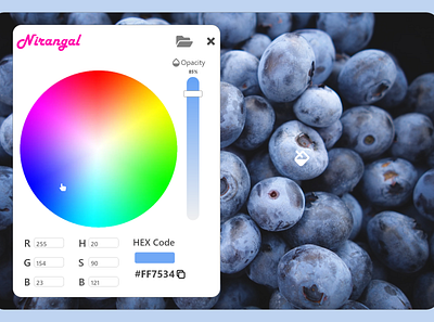 Color Picker app art branding dailyui dailyuichallenge design ui ux vector web