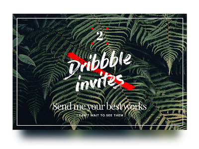 2 Dribbble invites giveaway blur brush card dribbble giveaway invitation invite invites script shadow