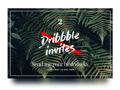 2 Dribbble invites giveaway