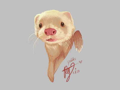 Quick draw of "Pebbles" OD animal art artwork digital drawing ferret illustration ink original pet sketch