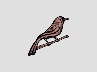 Sparrow Bird bird brand fowl sparrow