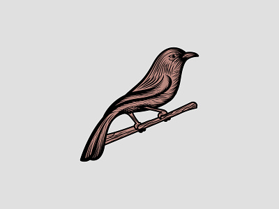 Sparrow Bird