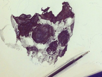 skull art draw sketch skull