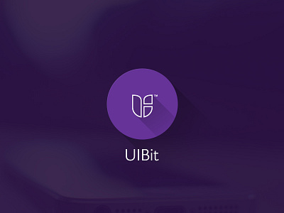 UIBit