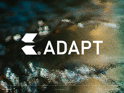 Adapt Visual Identity