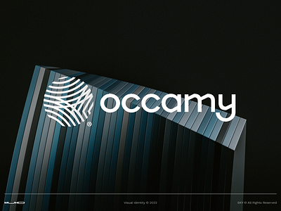 Occamy Visual Design brand branding concept creative design graphic design idea identity logo logo mark logo type logos marca minimal visual design