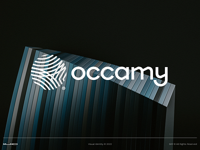 Occamy Visual Design