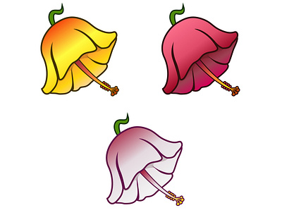 Hibiscus Bell Logo color design illustration logo