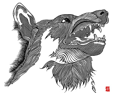 Wolf black and white illustration wolf