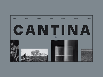 Cantina Puiatti animation clean design minimal slider ui ux web design website