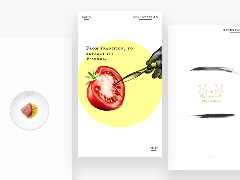 Del Cambio - Mobile web design ux ui minimal flat gif digital design dailyui animation clean white