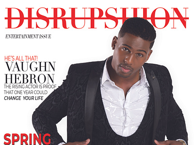 Disrupshion Spring Cover