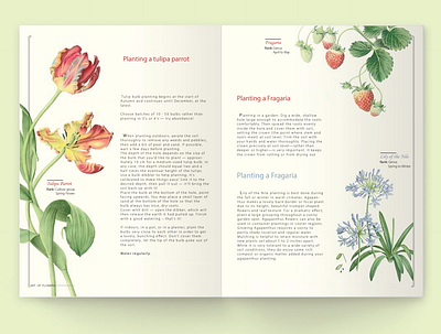 Art of Flower (book) book cover booklet books editing flower illustration illustration layout layoutdesign typogaphy visual design