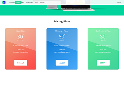 Pricing Page Challenge