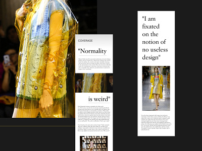 Presentation Adaptive website, spring collection Miu Miu