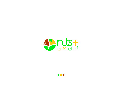 Nuts+ app branding flat icon illustration illustrator iran logo typography ux