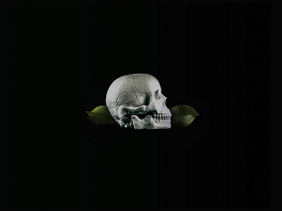 The Real Righteous Wretch art direction leaves lighting photography practice skull studio