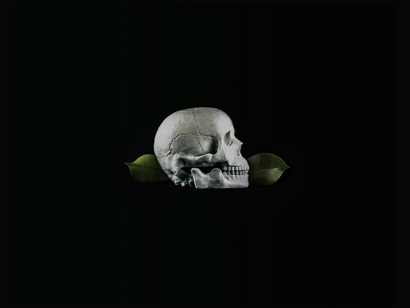 The Real Righteous Wretch practice art direction lighting leaves skull studio photography