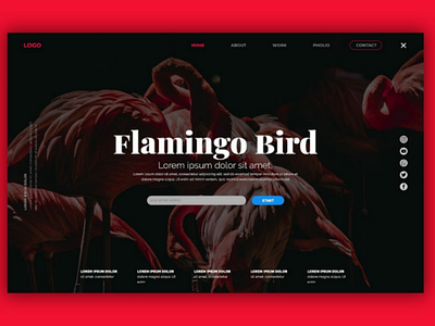 Landing page uxui webdesign flamingo