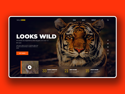 Zoo landing page zoo landingpage uxui