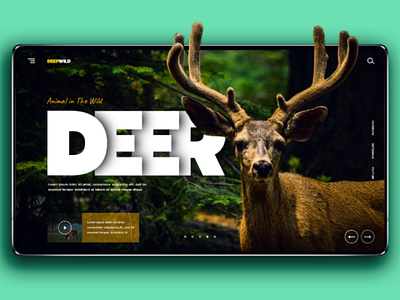 Deepwild landing page uxui webdesign landingpage