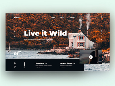 Live it Wild uxui webdesign landingpage