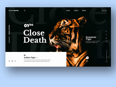 death hunter landing page creative uxui webdesign landingpage uxuidesign surf uxui webdesign landingpage