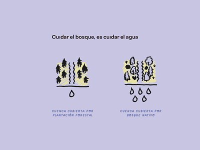 Restauración Ecológica - CAREP book design conservancy editorial design illustraion nature
