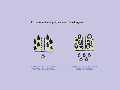 Restauración Ecológica - CAREP