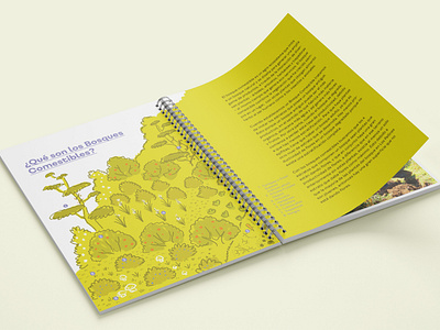 Manual de Restauración Ecológica book design booklet brochure conservancy design editorial design illustration nature