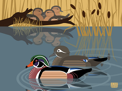 Carolina wood duck bird drawing duck geometric illustration nature