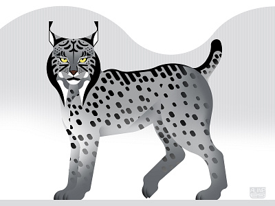 Iberian lynx