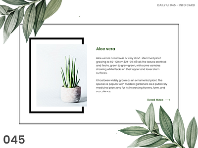 045 Info card @daily ui cards ui infocard minimal ui ui design uiuxdesign ux web