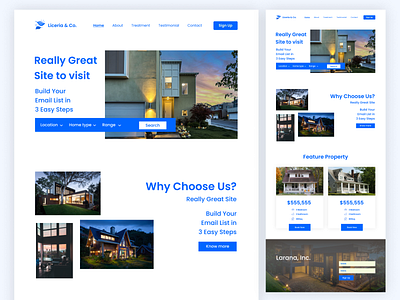 Real Estate Website Design