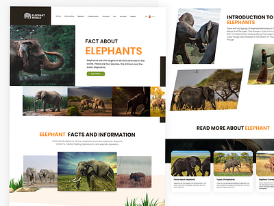 Elephant world Website Redesign