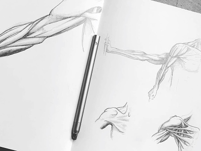 Pencil sketching with pencil+ blackandwhite drawing illustration product shading sketching