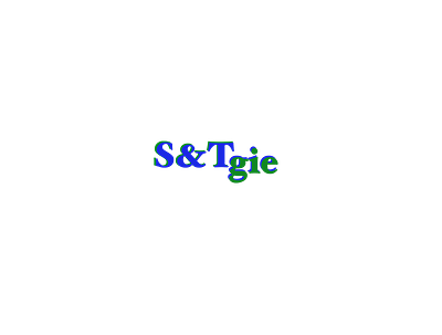 STgie logo branding design illustration logo