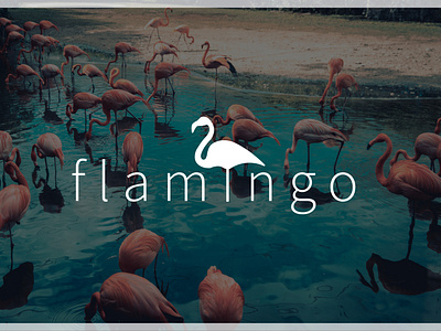 Logo concept "f l a m i n g o"