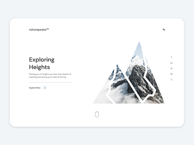 Mountain Travel Website design illustration minimal ui web