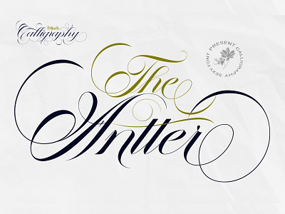 THE ANTTER FONT CHALLIGRAPHY app branding calligraphy design font graphic design kerning logo logoshift luxury make up motion graphics typedesign typeface