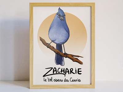 Zacharie le bel oiseau des Canaries animal bird cute illustration oiseau