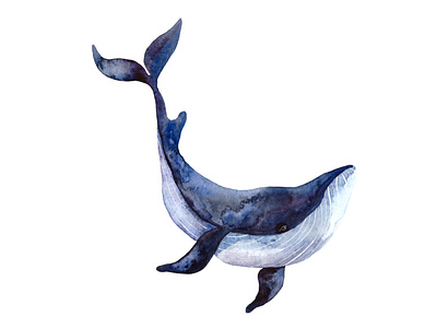 Watercolor Whale