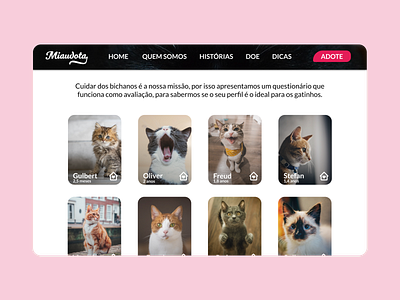 UI Design Miaudota - Adote animals ong petshop ui ui ux uidesign