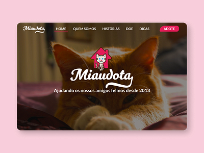 Miaudota User Inteface Design - Home pet petshop ui uidesign uiux webdesign