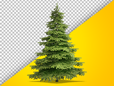 Fully Isolated Christmas Tree christamas tree christmas cut out fir green highres isolated needles psd render spruce